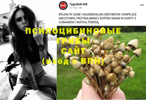 метадон Беломорск