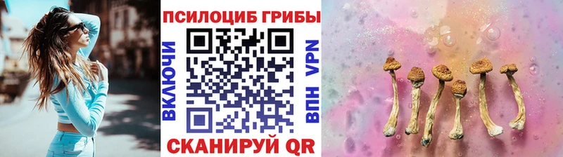 наркота  Дагестанские Огни  Псилоцибиновые грибы прущие грибы 